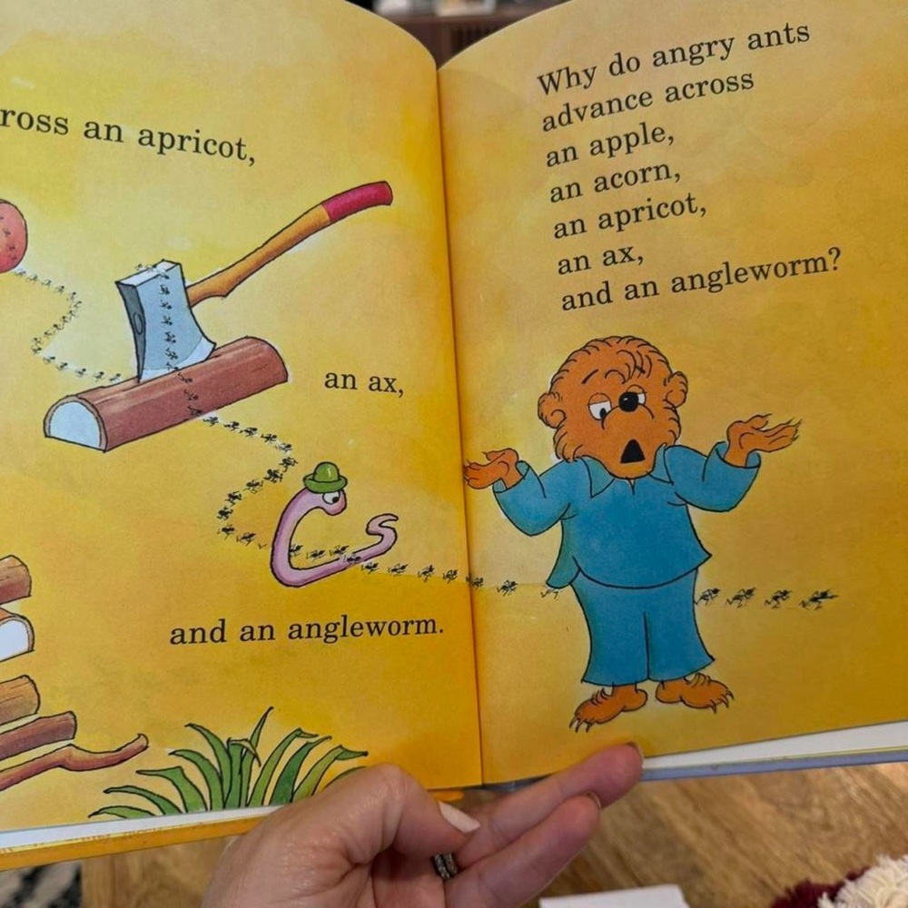 Children's Book Set of 4 Hardcover Berenstain Bears - Picture 3 of 4